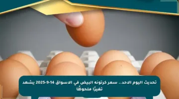 تحديث اليوم الأحد.. سعر كرتونة البيض في الأسواق 14-9-2025 يشهد تغيرًا ملحوظًا